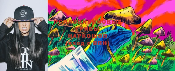 амф Дмитровск