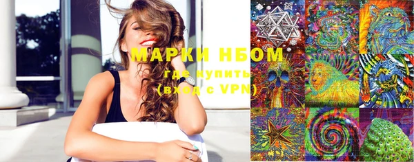 бошки Елабуга