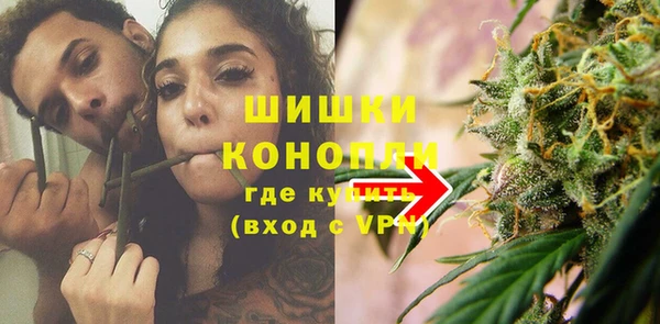 крисы Магас