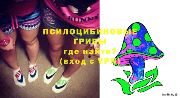 каннабис Ельня