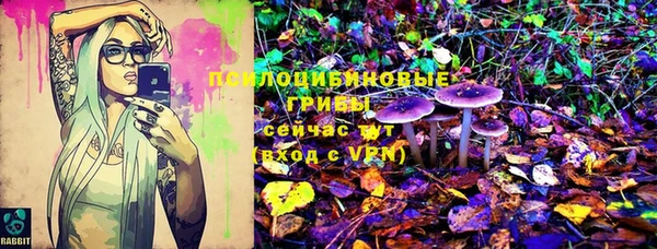 амф Дмитровск