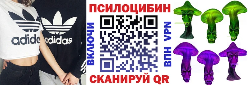 MEGA Дивногорск Галлюциногенные грибы MAGIC MUSHROOMS