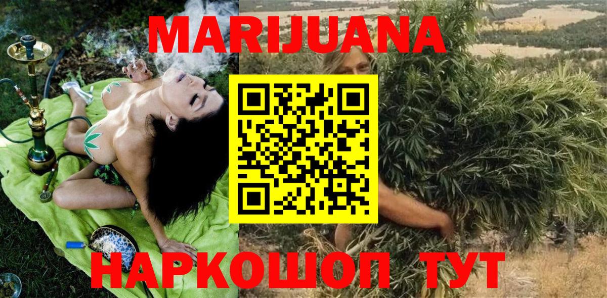 Бошки Шишки семена  Дивногорск  Марихуана OG Kush  Бошки марихуана сатива 